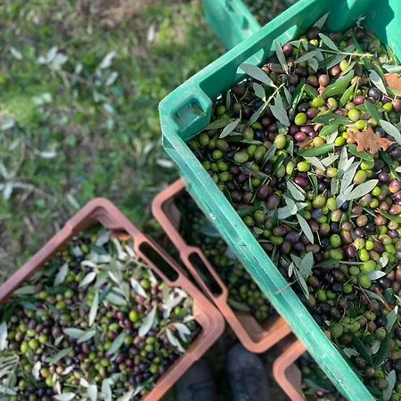 La Pomifera 3* Gubbio