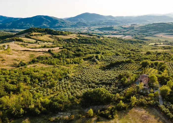 La Pomifera غوبيو